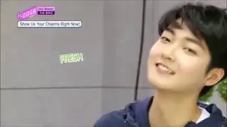 The boyz Kevin English, Aegyo, Funny, Father Material, Singing Moments