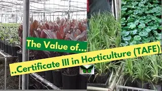 The Value of Certificate III in Horticulture (TAFE NSW)