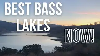 BEST SoCal BASS lakes to fish NOW!