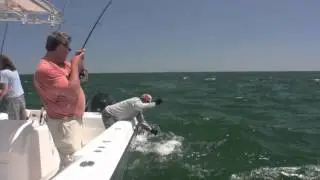 Cape Cod Striper Fishing: Floating Big Baits in the Rips