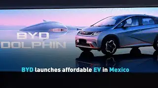 BYD launches affordable EV in Mexico