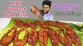 12KG Giant Fish Eating Challenge | 10 Big Slice Fish 65 | Food Challenge | Eating Challenge Boys