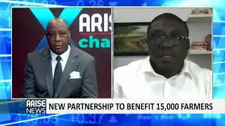 Alluvial, IDH deal to benefit 15000 Nigerian Farmers