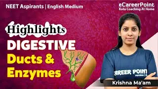 Digestive Ducts & Enzymes | Highlights | NEET Biology | Krishna Ma'am @eCareerPointEnglishMedium