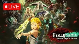 (Switch 2) Hyrule Warriors: Age of Imprisonment (Live) P.12 Chapter 5 Begins! (1080p)