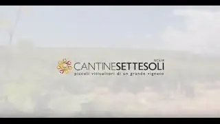 Cantine Settesoli