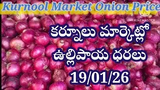 19 January 2026| కర్నూలు వ్యవసాయ మార్కెట్లో ఉల్లిపాయ ధరలు| today onion price Kurnool market #onion 
