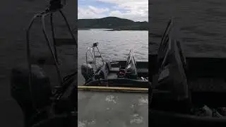 Pioneer Explorer Boat