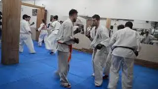 Examen Sekai So Kyokushin Argentina Shoshin dojo  2019DSC 0023