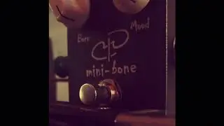 Paul Trombetta Mini Bone Fuzz pedal.