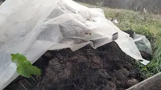 Šta sve sadrži stajsko đubrivo i kako se pravilno čuva