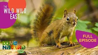 Wild Wild East - FULL SEASON MARATHON 1