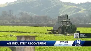 Salinas Valley farmers work to recover from storm damage