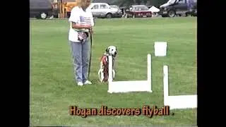 Discovering Fun and Favorite Things: Flyball