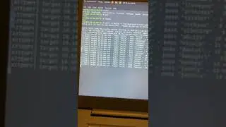 How to find your lost password with hydra