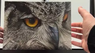 Painting an Owl Upside Down From Start to Finish