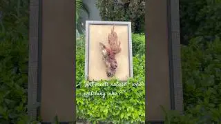 #nature #gardenart #naturphotography #artandnature #naturelovers #gardendecor