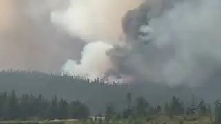 Paddy’s Pond Wildfire Aug / 2025 | Newfoundland & Labrador.