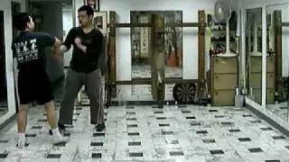 Wing Chun Chi Sau. free hands. Deer. 31Mar11'.