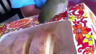 Lucky trying to eat his favorite cake
