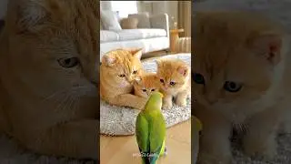 🦜❤️🐱 Parrot Snuggles Kittens One by One, Then Goes for Mama Cat
