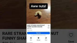 Questionable things I found on FB Marketplace in Ten minutes #funny #questionable #lol