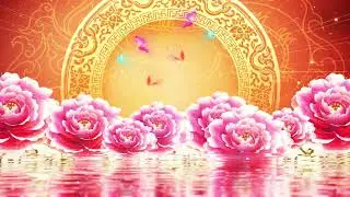 4k classical peony open dance background video classical dance background | Videos Pro Shop