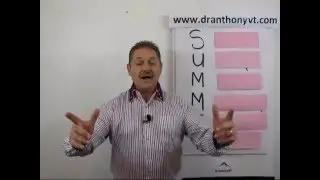 SUMMIT - How to Master Your Journey to the Top