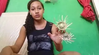 chapéuzinho de palha ♡♡♡