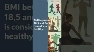 BMI Explained | What Your Body Mass Index Really Means