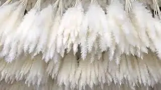 J 098 Wholesale Oasis Economy Water Absorption Flower Mud Wet Floral Foam For Fresh Dry Artificial F
