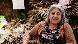 Tradizione artigianale di Sant'Antioco - Scope di palma nana (Santa Testa)