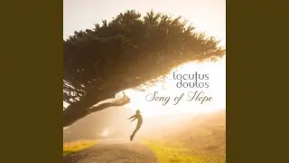 Within a Song