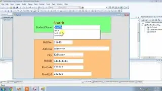 vb.net search access database,Search In Ms Access Database Record Using vb.net