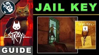 Find Keys & Escape Prison with Clementine in Stray | Jail Key Location Puzzle Guide