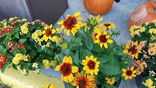 HELLO WISCONSIN FALL!