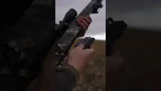 Remington 783 in 22-250 bolt action