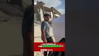 Gaza Aid: A Deadly Reality Unveiled