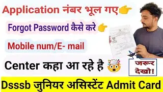 Dsssb Junior Assitant Admit Card 2025 Kese Dekhe|dsssb junior assistant admit card|dsssb admit card