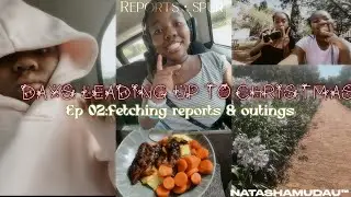 DAYS LEADING UP TO CHRISTMAS EP 02:reports|family outings|🇿🇦