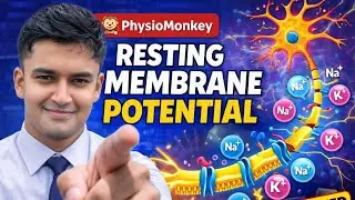 Sodium&ndash;Potassium Pump Explained | Resting Membrane Potential | Physiology | Physiotherapy