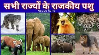 सभी राज्यों के राजकीय पशु_भारत के हर राज्य का राजकीय पशु_State Animal Name of India #animals #gk 