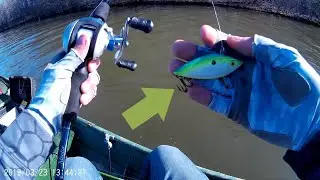 Spinnerbait VS Lipless Crankbait FISHING CHALLENGE