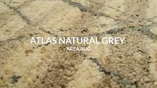 Family Fun Begins With 'Atlas Natural Grey' Area Rug