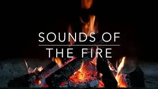 Crackling Fire Sounds for Deep Sleep 🌙 Stress Relief