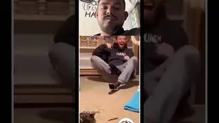 Fake cat 🐈😂😁#trending #motivation #animals #funny #funnyvideo #shorts