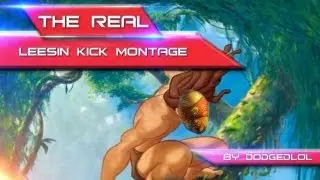 THE REAL LEESIN KICK MONTAGE