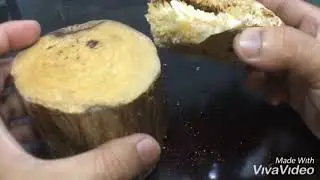 Quartz Geode Crystal Specimen