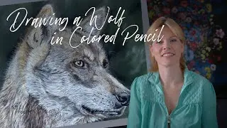 How to draw a Wolf in Colored Pencil - Drawing Tutorial