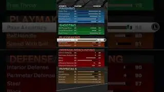 NBA2k23 Rare 6&rsquo;7 2-way Floor General build
